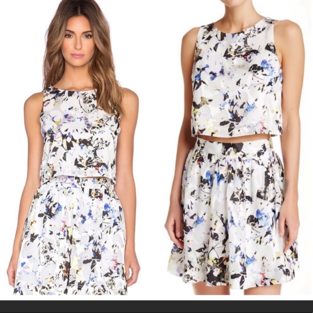 Elizabeth and James Crop Top